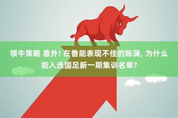领牛策略 意外! 在鲁能表现不佳的陈蒲, 为什么能入选国足新一期集训名单?