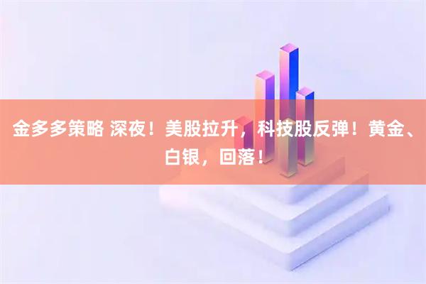 金多多策略 深夜！美股拉升，科技股反弹！黄金、白银，回落！