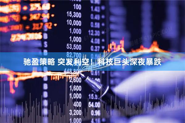 驰盈策略 突发利空！科技巨头深夜暴跌