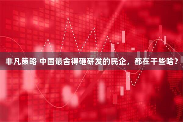 非凡策略 中国最舍得砸研发的民企，都在干些啥？
