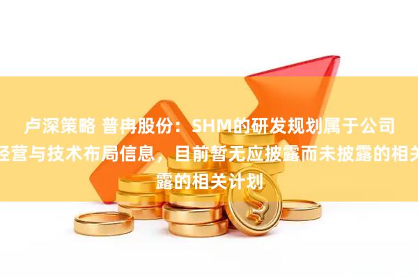 卢深策略 普冉股份：SHM的研发规划属于公司核心经营与技术布局信息，目前暂无应披露而未披露的相关计划