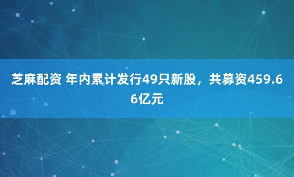 芝麻配资 年内累计发行49只新股,共募资459.66亿元