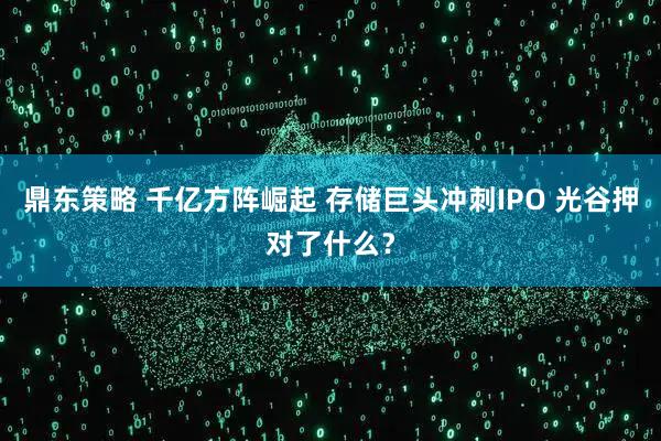 鼎东策略 千亿方阵崛起 存储巨头冲刺IPO 光谷押对了什么？
