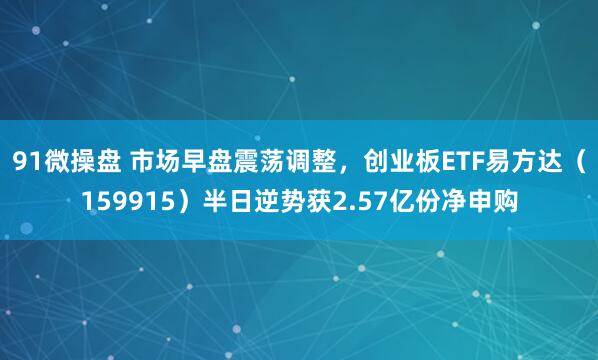 91微操盘 市场早盘震荡调整，创业板ETF易方达（159915）半日逆势获2.57亿份净申购